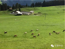 【随笔】丁良：你好，欧洲！