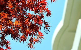 【郡园周记】【郡园电视台】2018.3.11