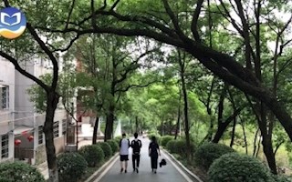 【走进新农村特辑】