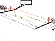 2019年长郡中学体育节暨教职工趣味运动会比赛规程